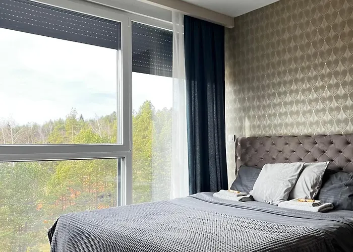 Apartman Ambijent Divcibare